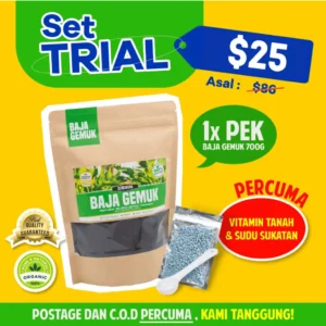 Set Trial